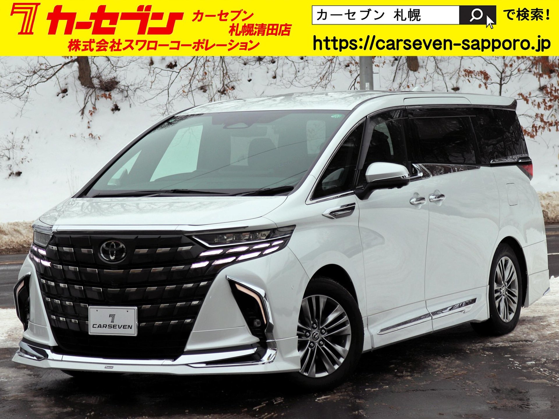 TOYOTA ALPHARD - View 1