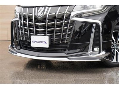 2023 TOYOTA ALPHARD 照片 8