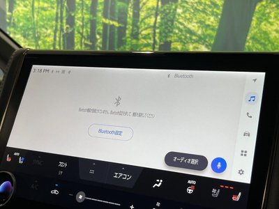2024 TOYOTA ALPHARD 缩略图 28