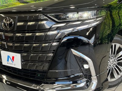 2024 TOYOTA ALPHARD 缩略图 13