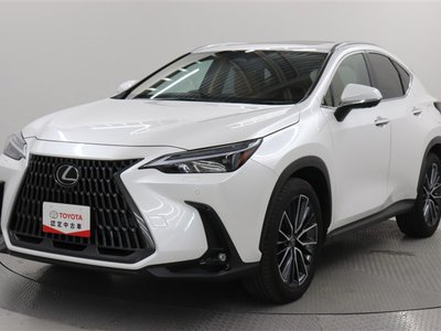 LEXUS NX - 1