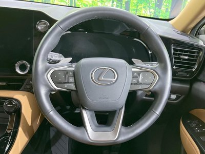 LEXUS NX - 10