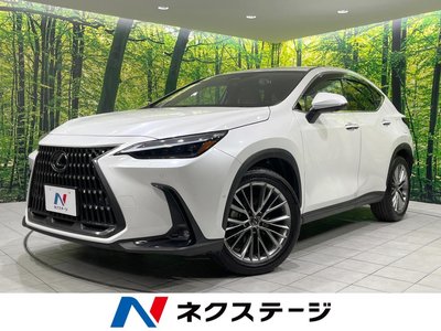 LEXUS NX - 1