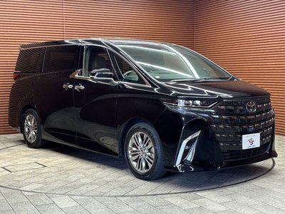 2023 Toyota ALPHARD 缩略图 30