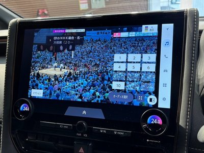 2023 Toyota ALPHARD 缩略图 57