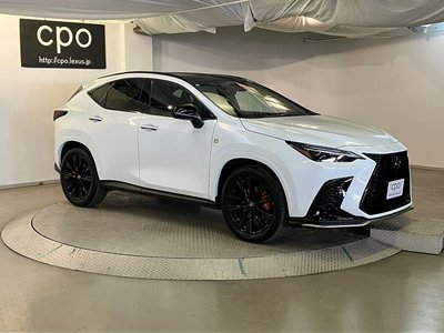 LEXUS NX - 10