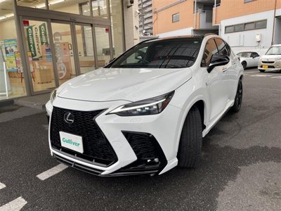 LEXUS NX - 6