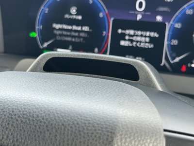 2024 Toyota ALPHARD 缩略图 54