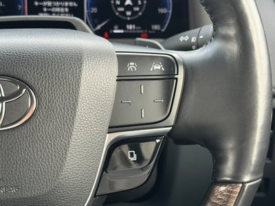 2024 Toyota ALPHARD 缩略图 53