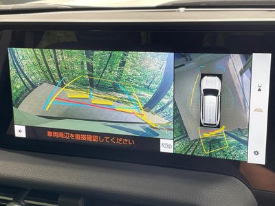 TOYOTA LAND CRUISER 250 - 5