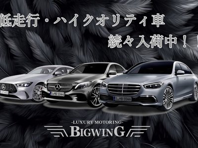 MERCEDES-BENZ E-CLASS AMG - 4
