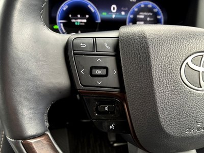 2024 TOYOTA ALPHARD 缩略图 20