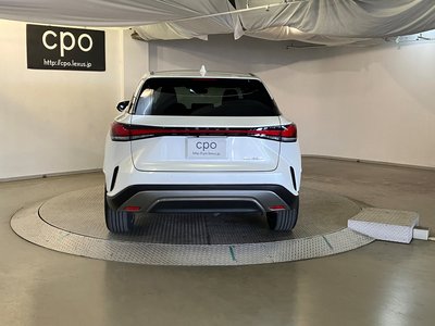 LEXUS RX - 9