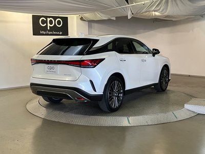 LEXUS RX - 10