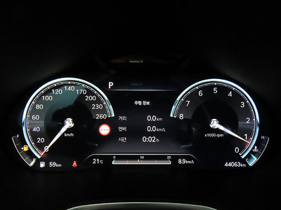 GENESIS G80 (RG3) - 9