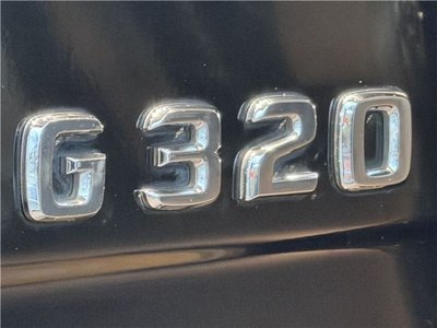 1999 Mercedes-BENZ G-CLASS 缩略图 69