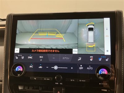 2025 Toyota ALPHARD 照片 10