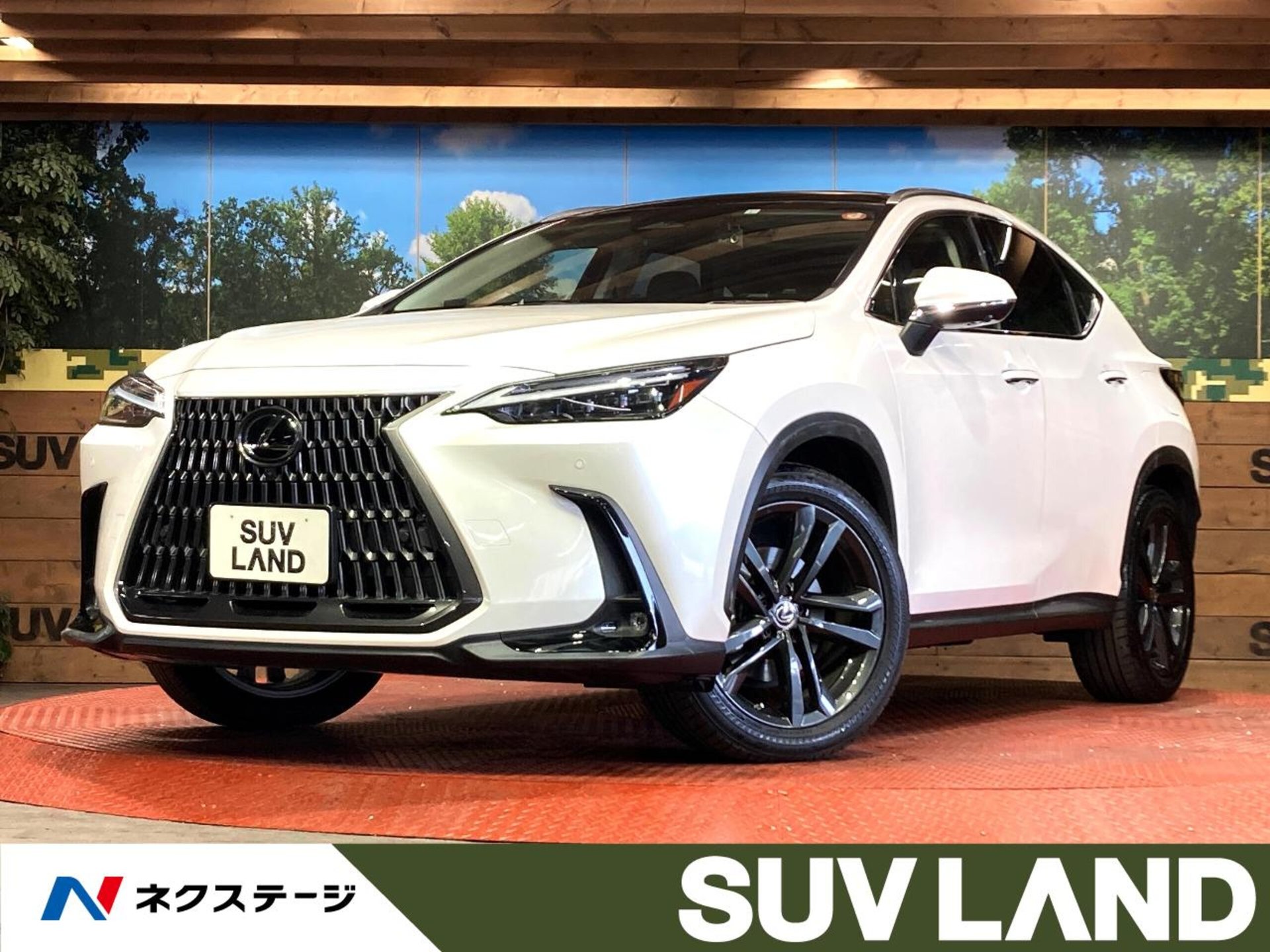 LEXUS NX - View 1