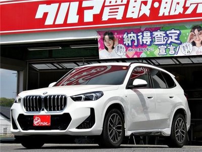 BMW X1 - 1