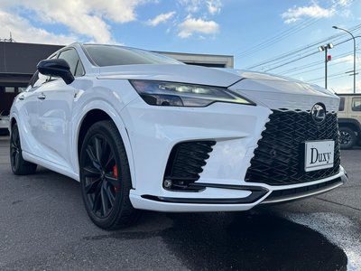 LEXUS RX - 6