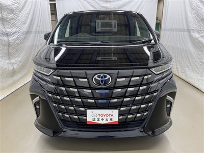 2023 TOYOTA ALPHARD 照片 10