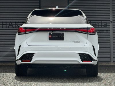 LEXUS RX - 7