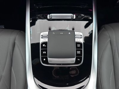 2025 Mercedes-BENZ G-CLASS 缩略图 31
