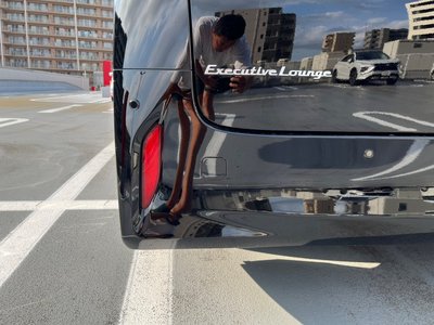 2024 TOYOTA ALPHARD thumbnail 66