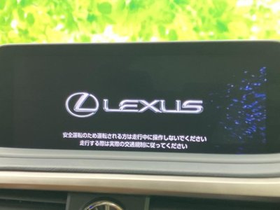LEXUS RX - 9