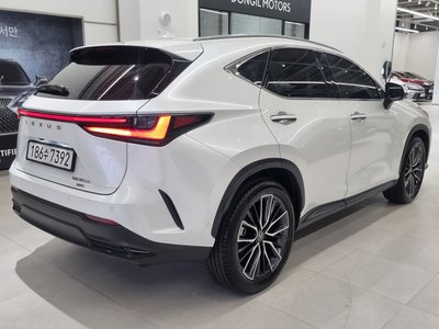 LEXUS NX - 4