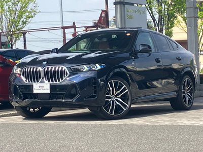 BMW X6 - 1