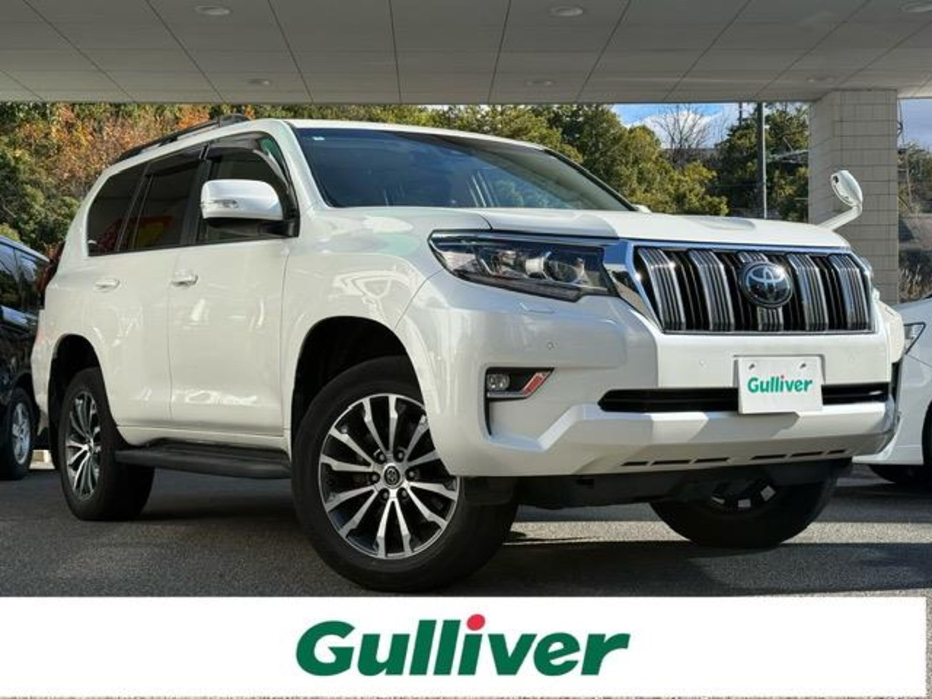 TOYOTA LAND CRUISER PRADO - View 1
