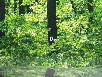 LAND ROVER RANGE ROVER - 7