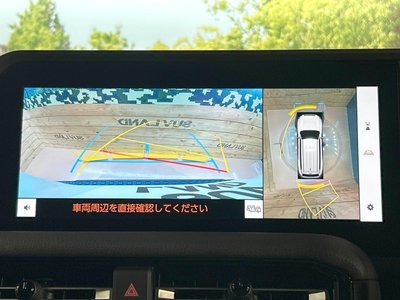 2024 Toyota LAND CRUISER 250 photo 6