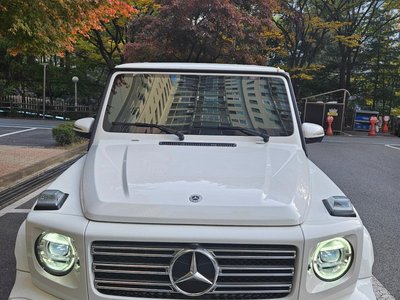 MERCEDES-BENZ G-CLASS - 1