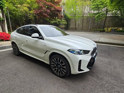BMW X6 - 4