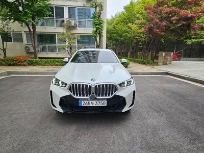 BMW X6 - 1