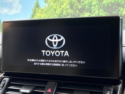 TOYOTA LAND CRUISER 300 - 6