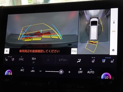 2024 Toyota ALPHARD 照片 9