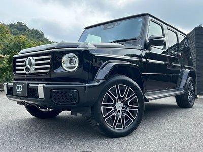 MERCEDES-BENZ G-CLASS - 1