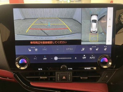 LEXUS NX - 6