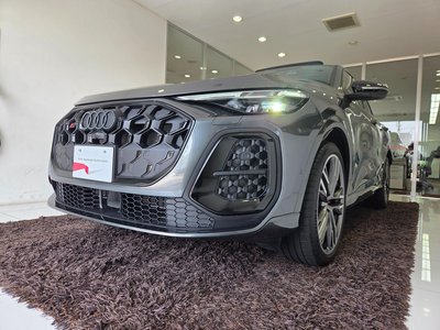 2025 AUDI SQ5 SPORTBACK — миниатюра 225