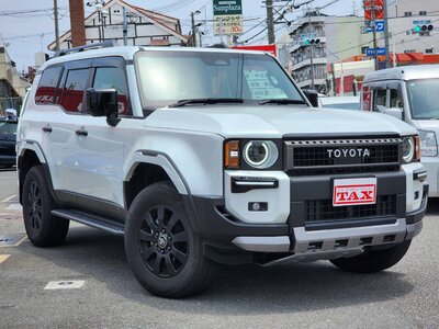 TOYOTA LAND CRUISER 250 - 10