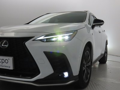 LEXUS NX - 6