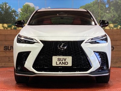 2023 Lexus NX thumbnail 14