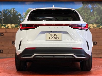 2023 Lexus NX thumbnail 15