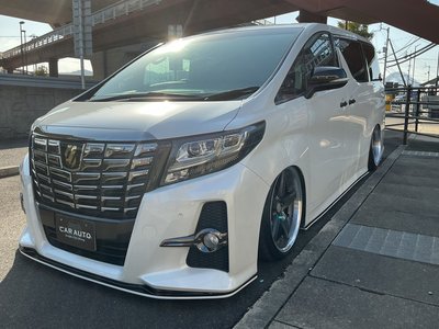 TOYOTA ALPHARD - 3