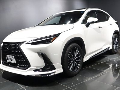 LEXUS NX - 1