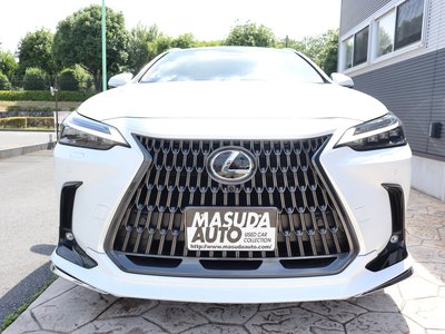 LEXUS NX - 2
