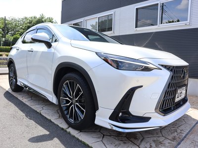 LEXUS NX - 3